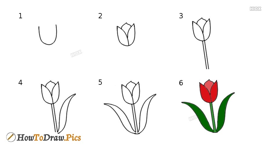 Desenhos de Ideia de tulipa 5