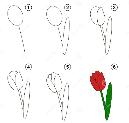 Desenhos de Ideia de tulipa 6