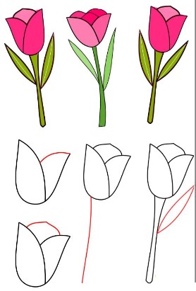 Desenhos de Ideia de tulipa 7