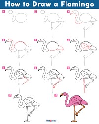 Desenhos de Flamingos