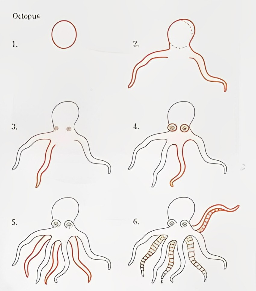 Desenhos de Impressão de polvo grátis