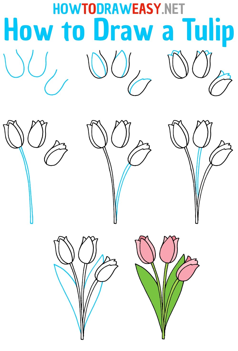 Desenhos de Tulipas