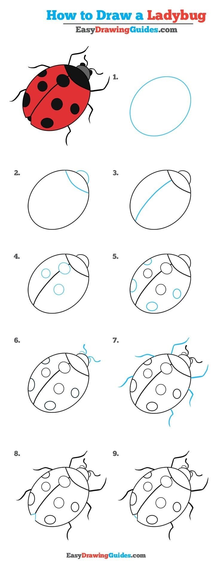 Desenhos de Uma joaninha passo a passo detalhada