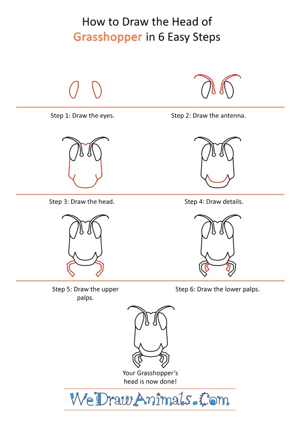 Desenhos de cabeça de gafanhoto