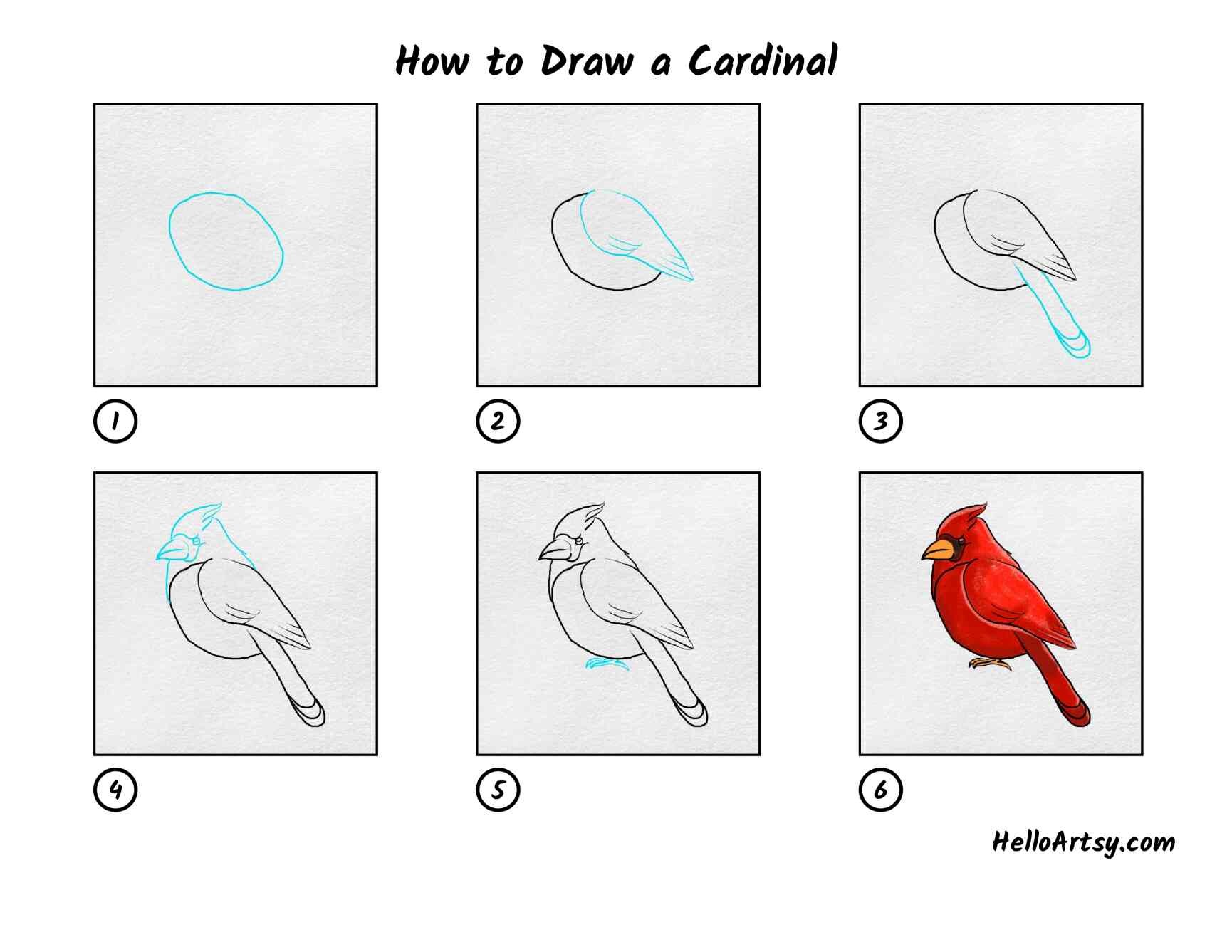 Desenhos de Cardeal básico