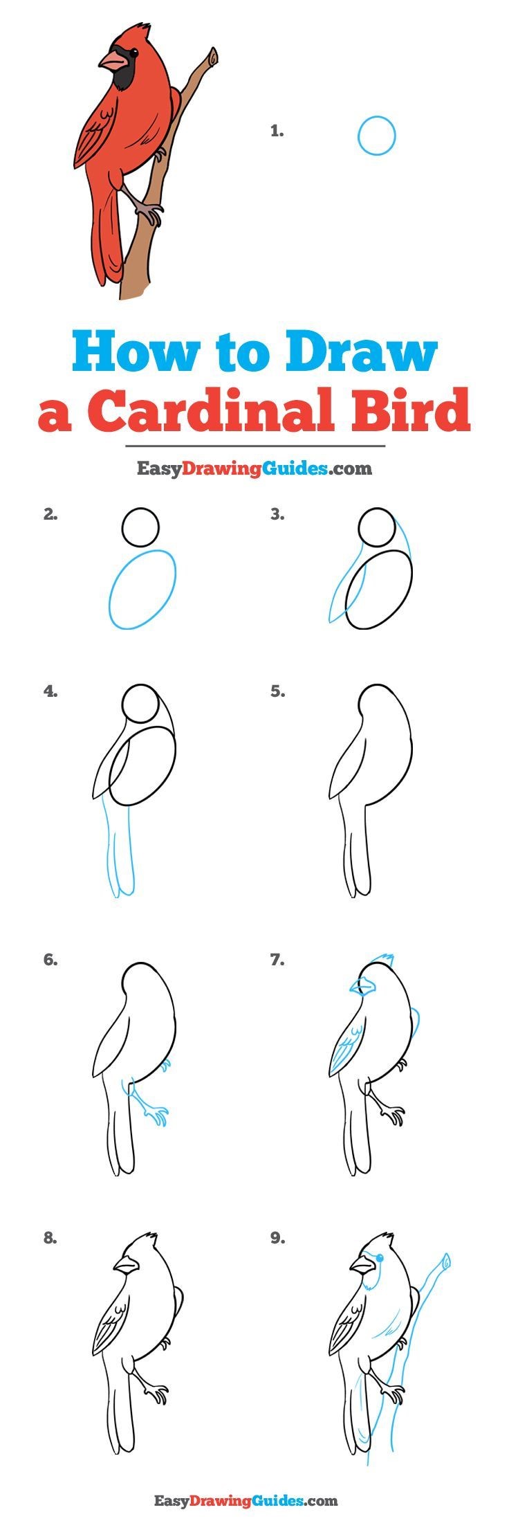 Desenhos de Cardeal em pé