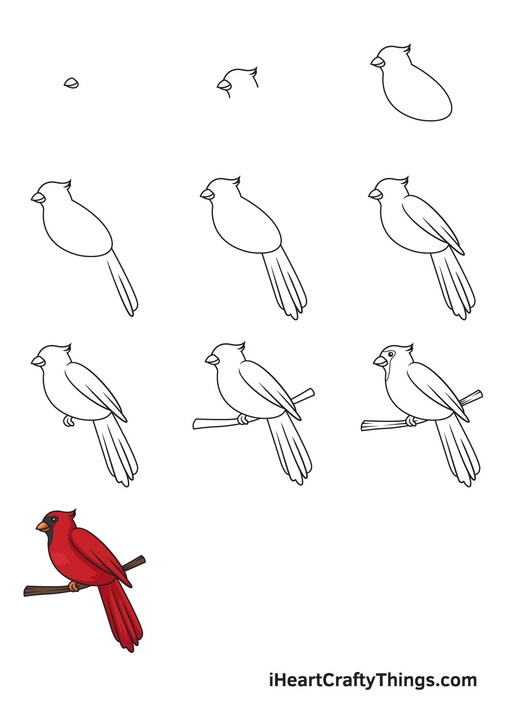 Desenhos de Cardeal grátis