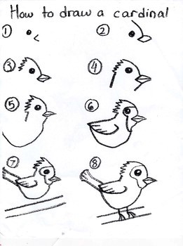 Desenhos de Cardeal para crianças