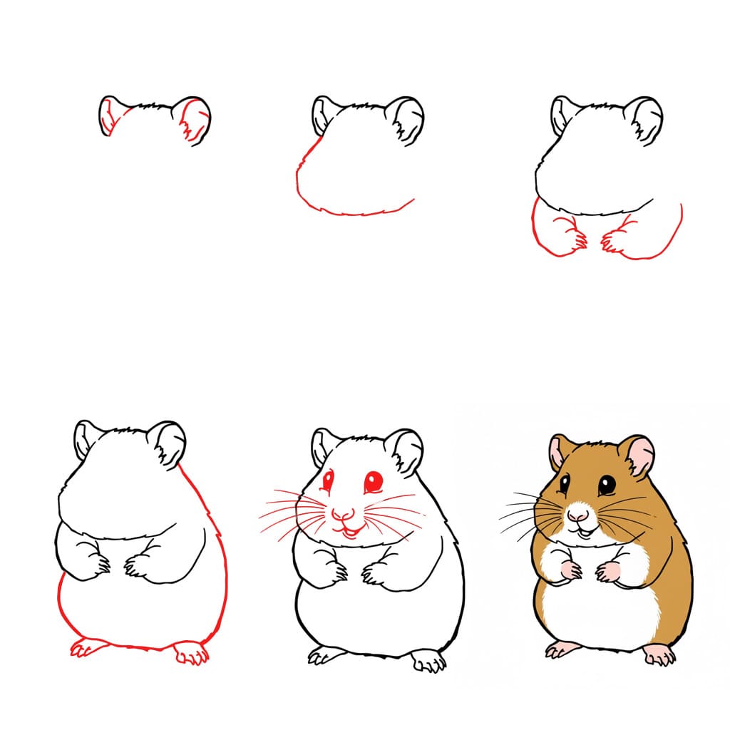 Desenhos de Hamster fofo