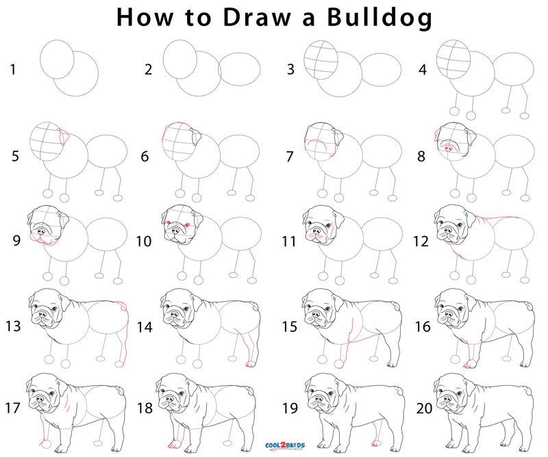 Desenhos de Ideias Bulldog 2