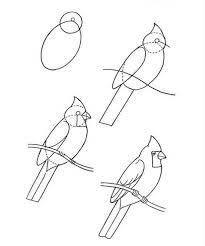 Desenhos de Imagem de cardeal