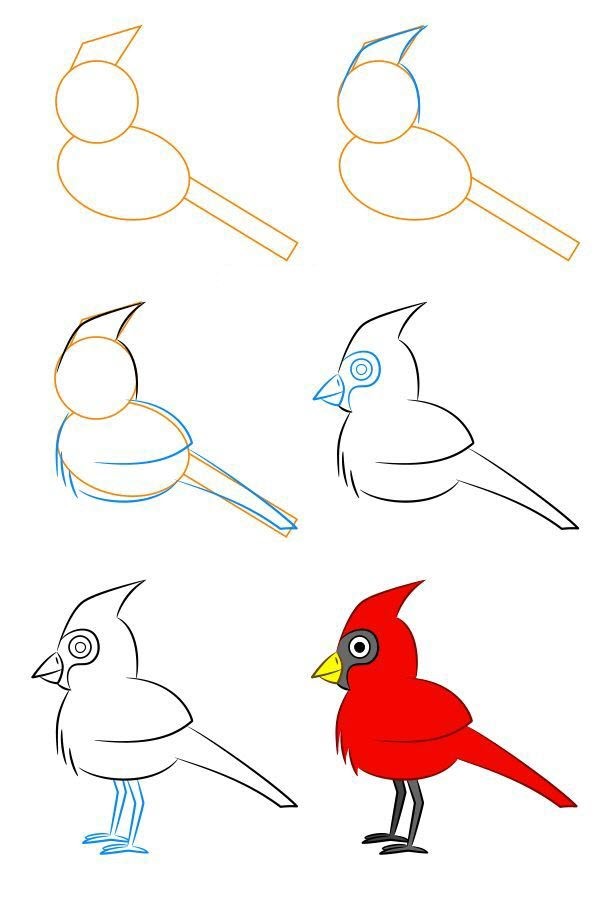 Desenhos de Cardeais
