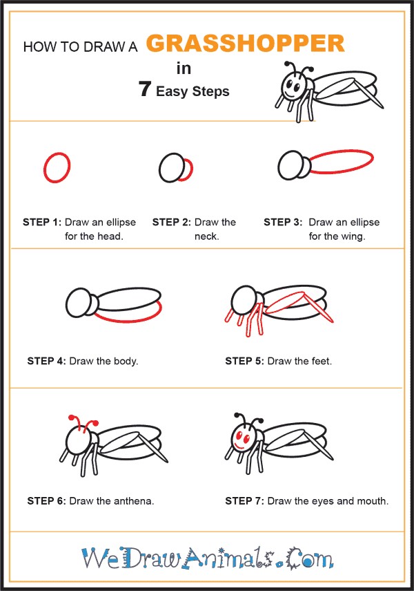 Desenhos de Um gafanhoto passo a passo detalhado
