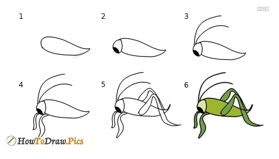 Desenhos de Um simples gafanhoto