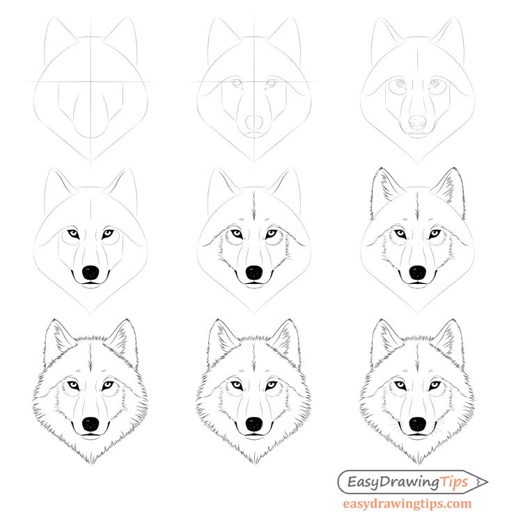 Desenhos de Cabeça de lobo