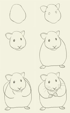 Desenhos de Contorno de hamster