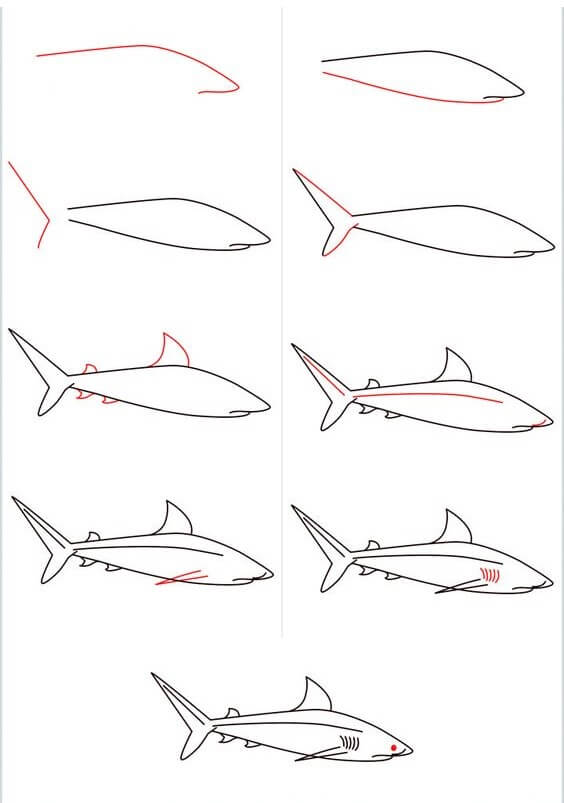 Desenhos de Contorno de tubarão