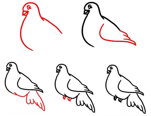 Desenhos de Filhote de pomba