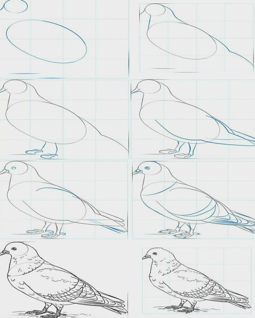 Desenhos de Imagem de pomba