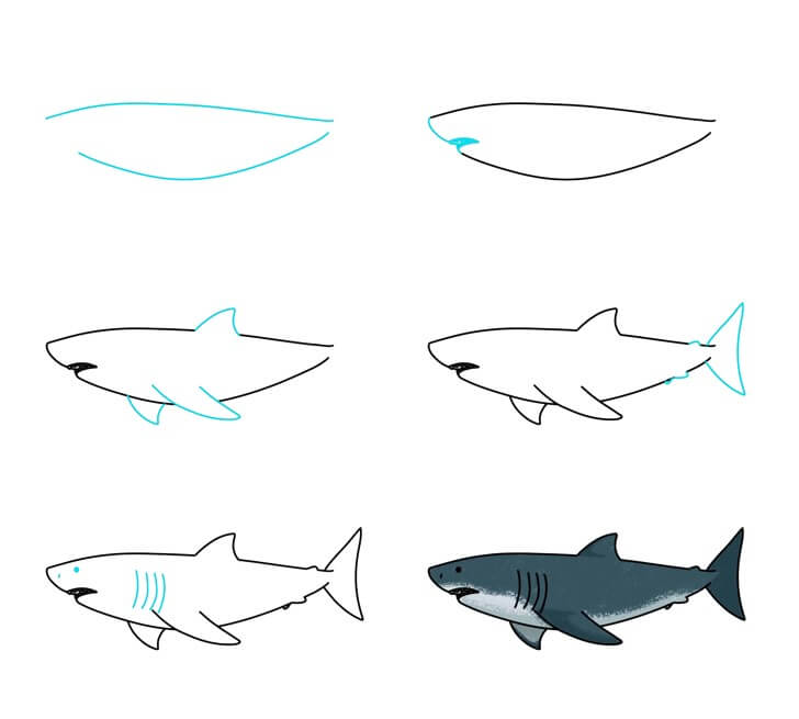 Desenhos de Imagem de um tubarão grande