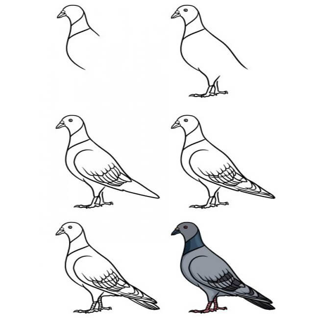 Desenhos de Linda Pomba