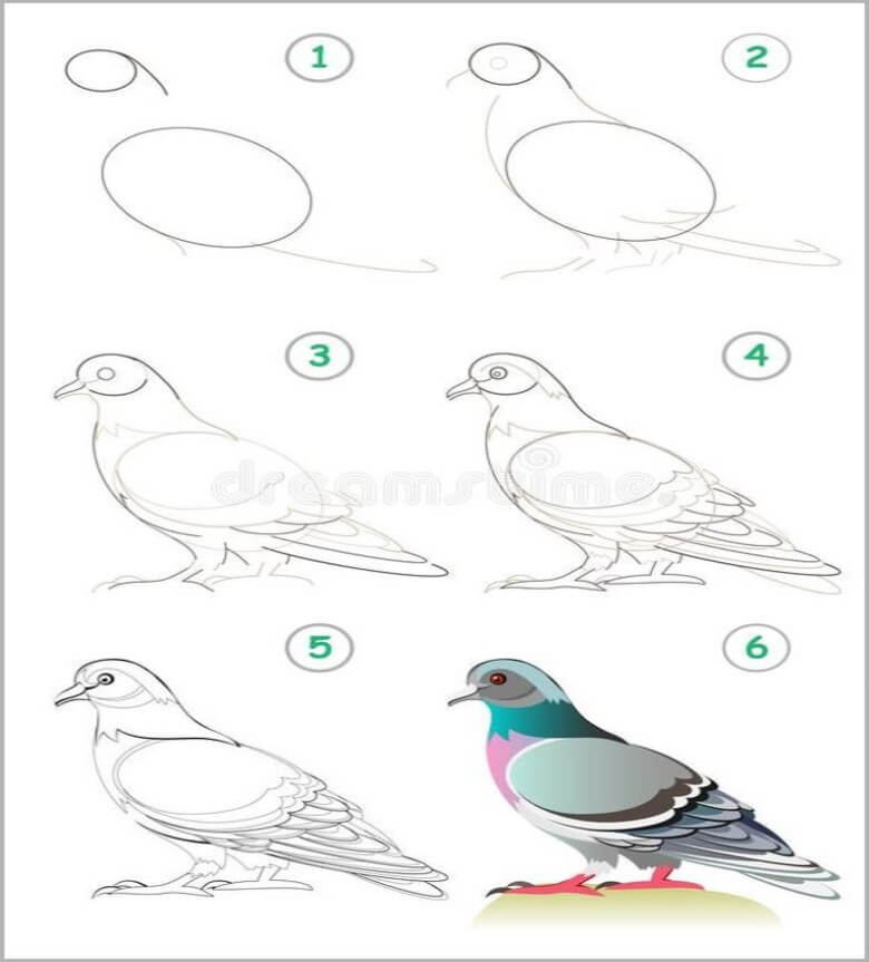 Desenhos de Linda pomba livre