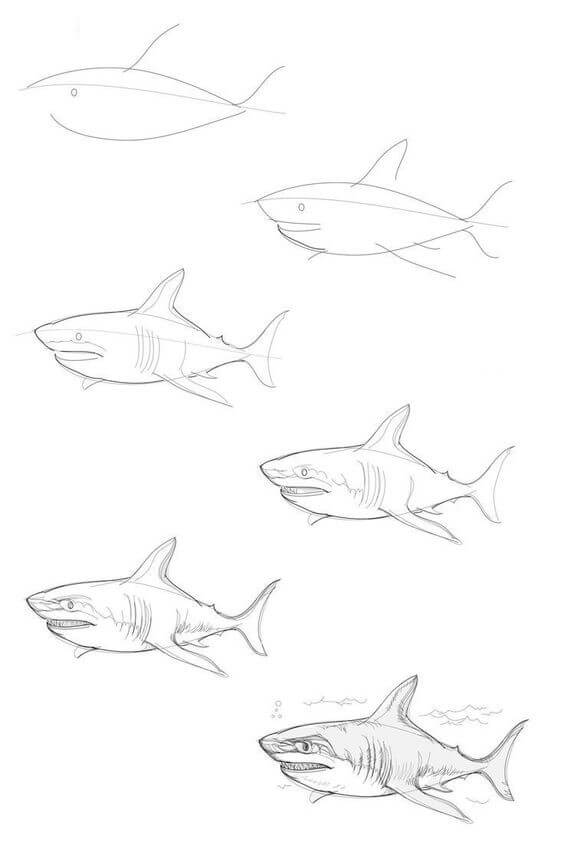 Desenhos de Perigo de tubarões