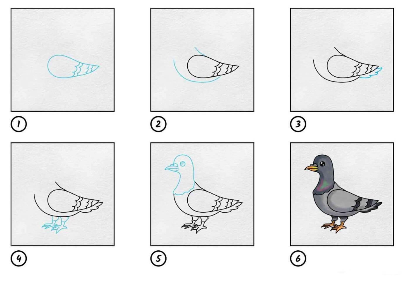 Desenhos de Pomba azul