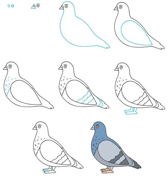 Desenhos de Pomba azul livre