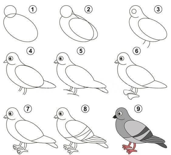 Desenhos de Pomba básico