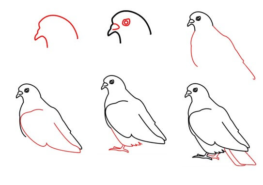 Desenhos de Pomba Fácil