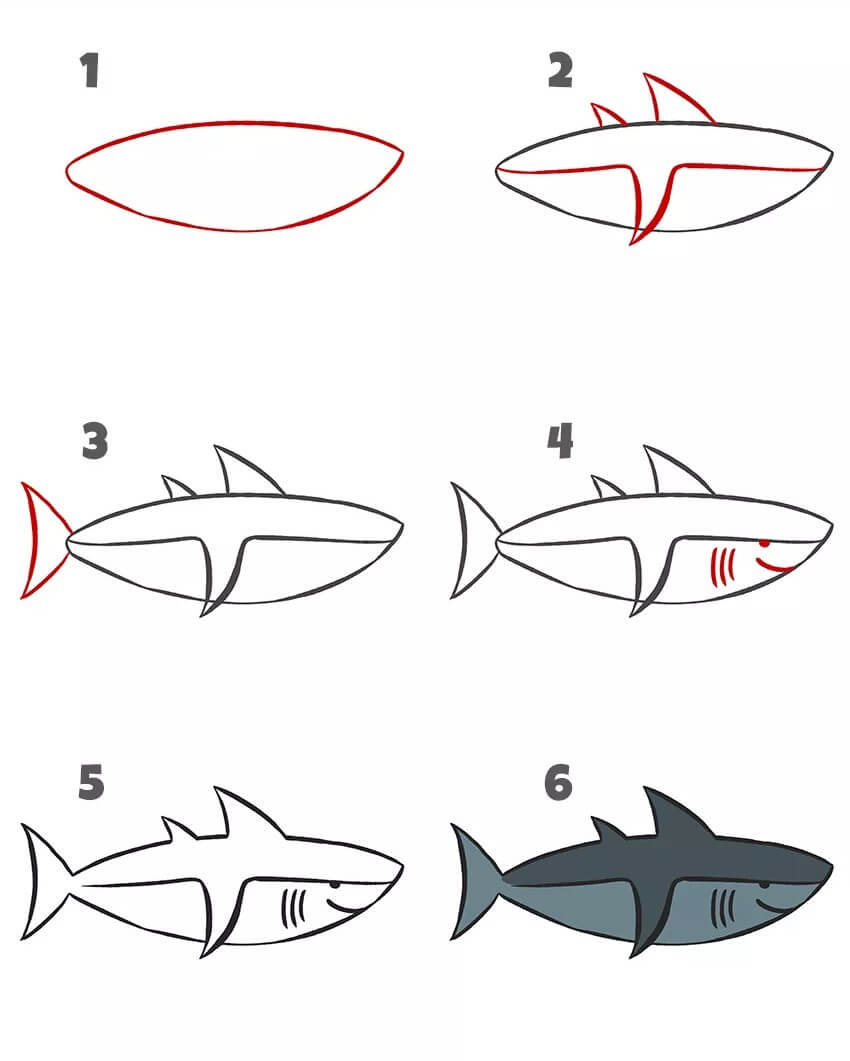 Desenhos de Tubarão adulto