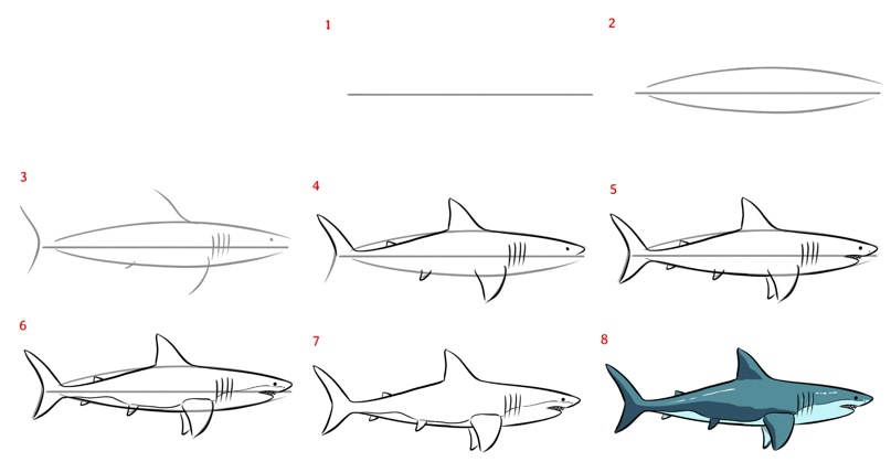 Desenhos de Tubarão assassino