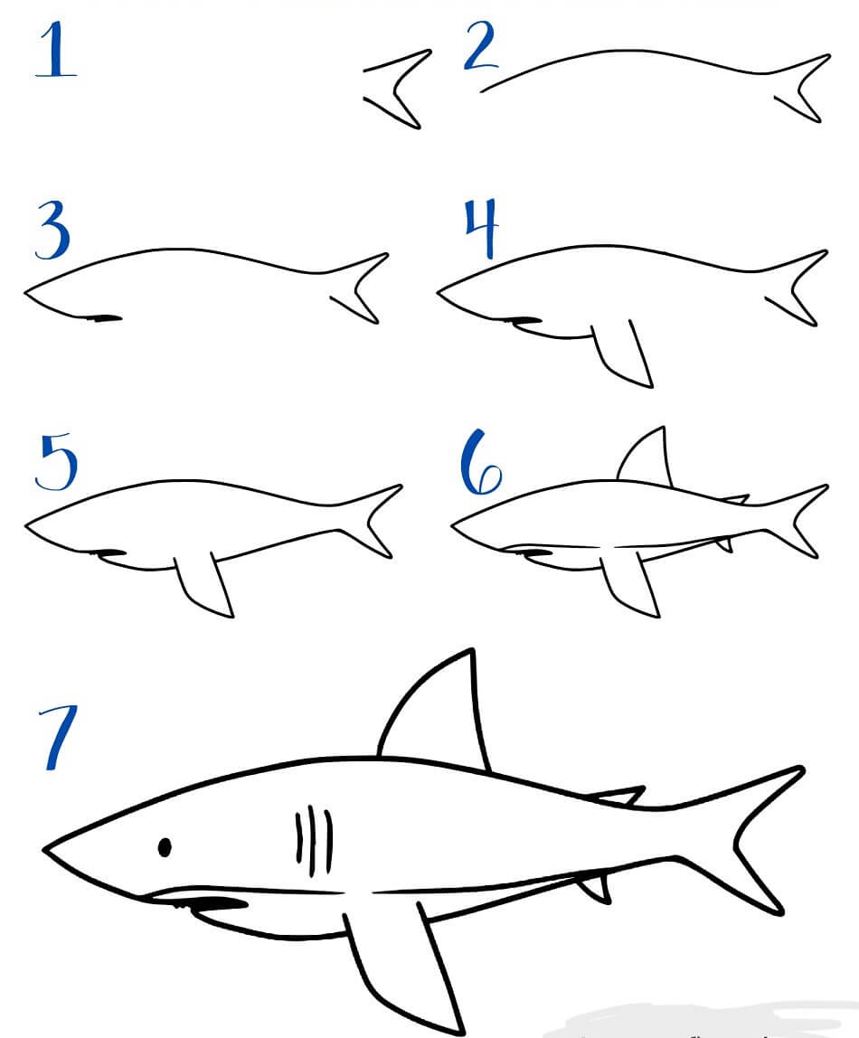 Desenhos de Tubarão branco