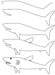 Desenhos de Tubarão branco livre