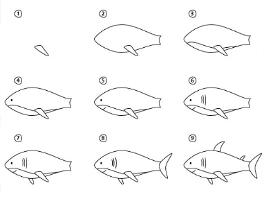 Desenhos de Tubarão gordo