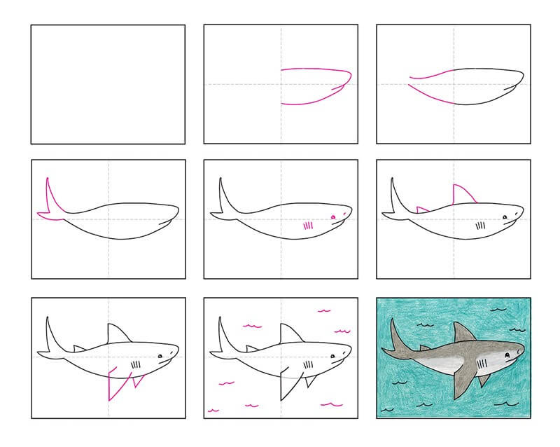 Desenhos de Tubarão nadando