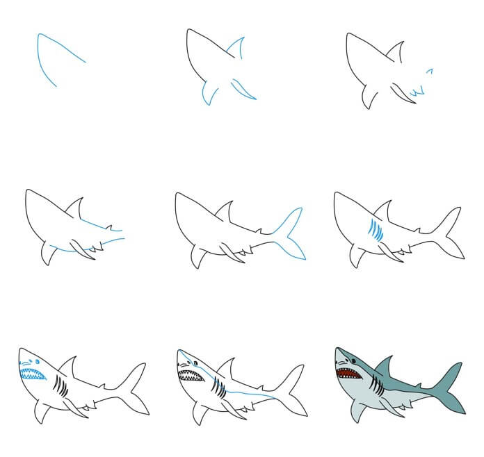 Desenhos de Tubarão olhando para cima