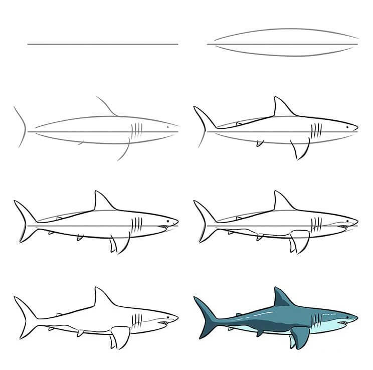 Desenhos de Tubarão realista