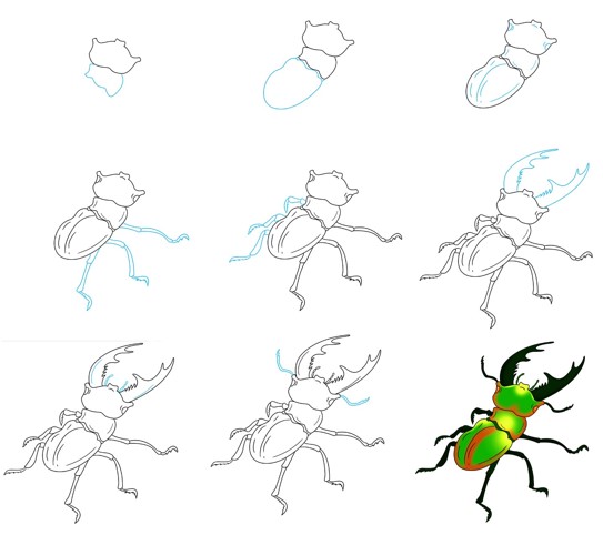 Desenhos de Belo besouro