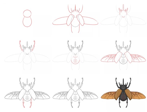 Desenhos de Besouro com asas abertas