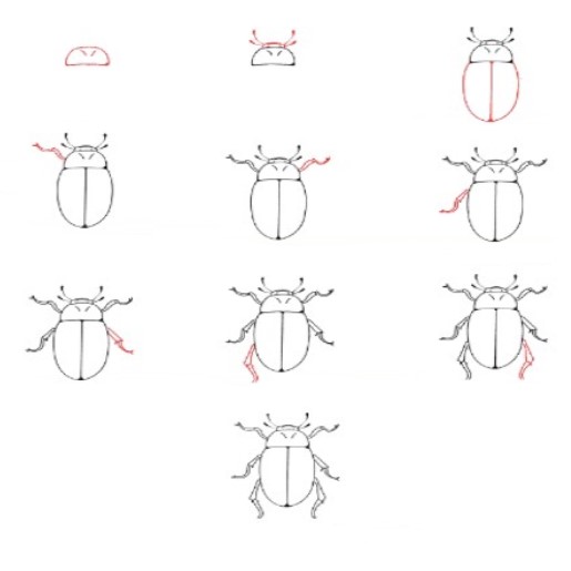 Desenhos de Besouro grátis