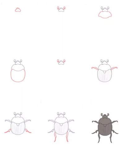 Desenhos de Besouro pequeno