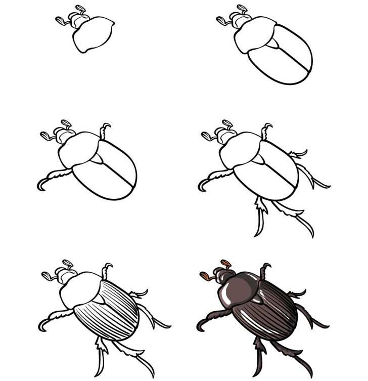 Desenhos de Besouro simples