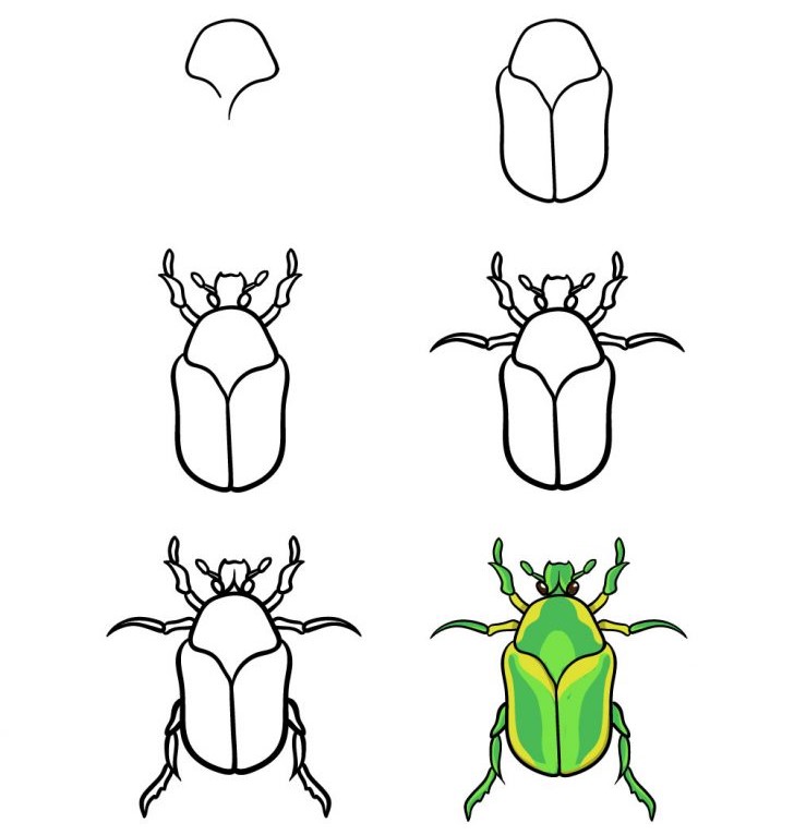 Desenhos de Besouros