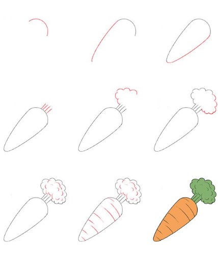 Desenhos de Cenoura básica