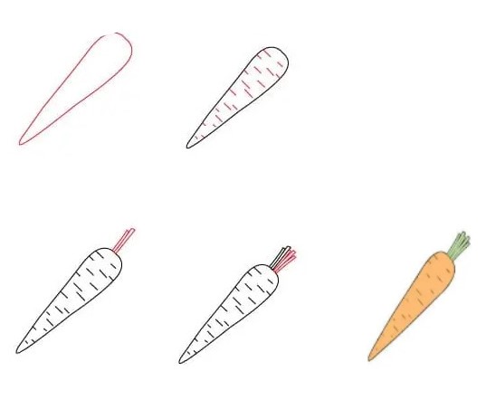 Desenhos de Cenoura pequena