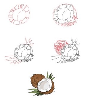 Desenhos de Coco de cera