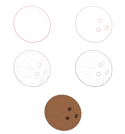 Desenhos de Coco muito simples