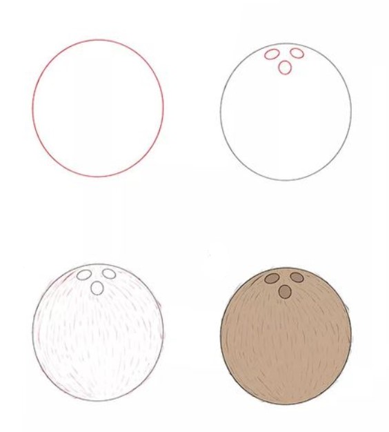 Desenhos de Coco redondo